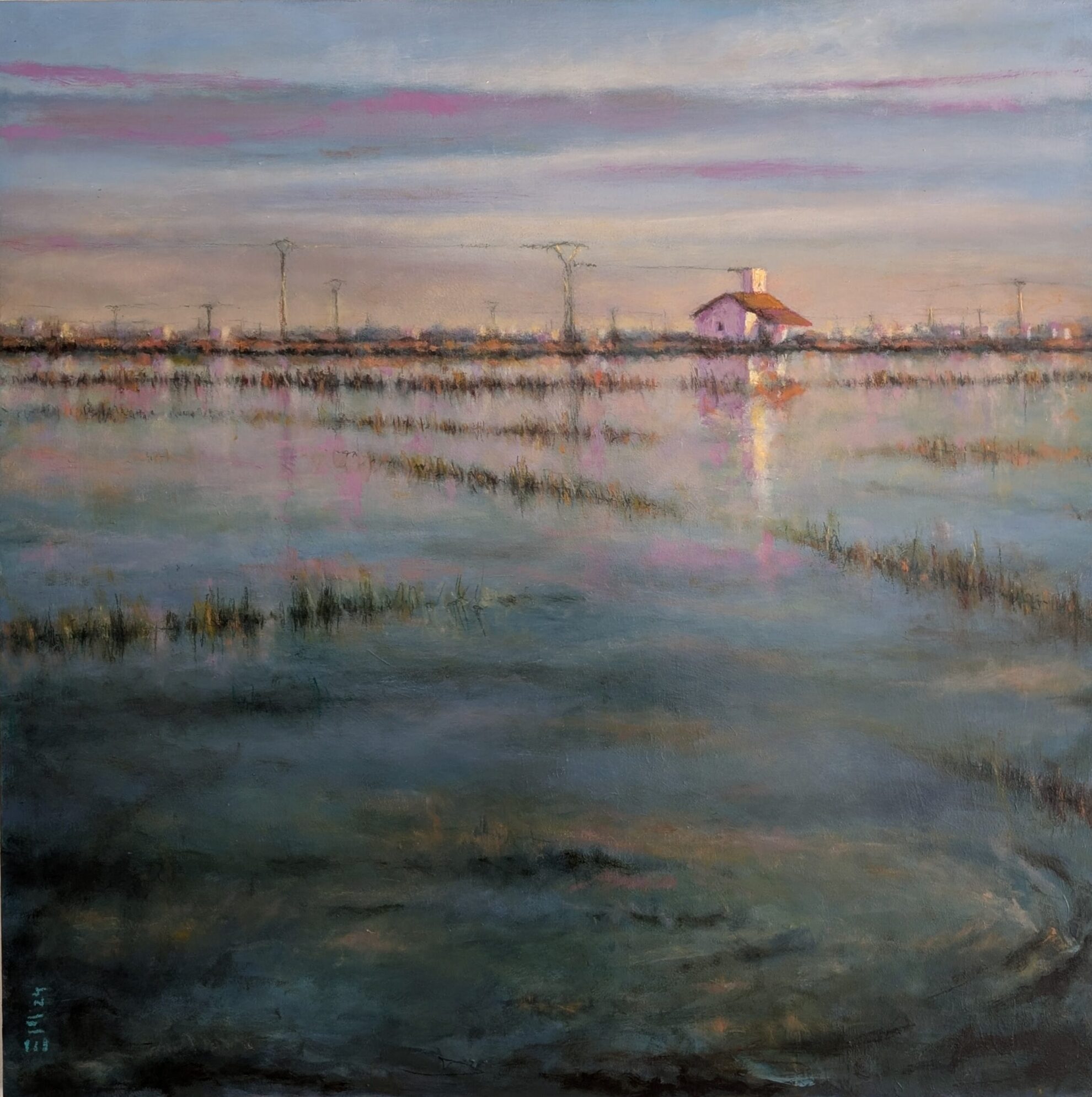Invierno en la Albufera